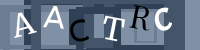 CAPTCHA-CODE